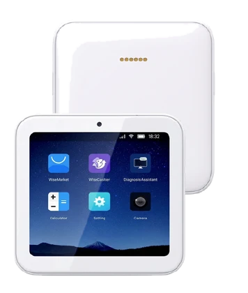 CodePay RX terminal